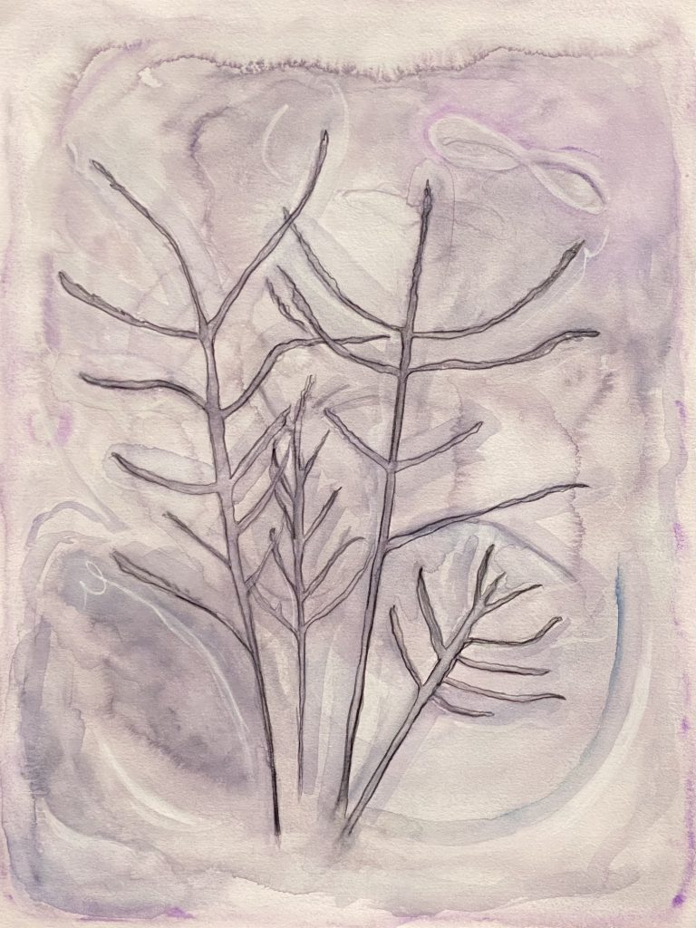 Plant Aura (Kali)
