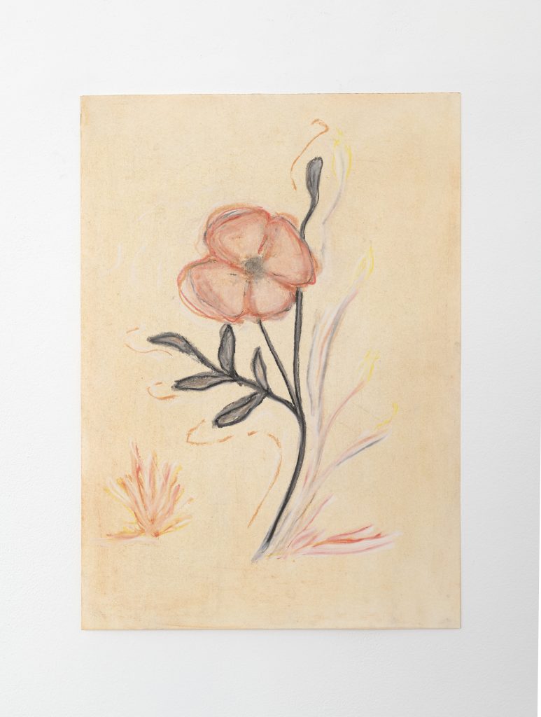 Plant Aura (Fire Poppy)