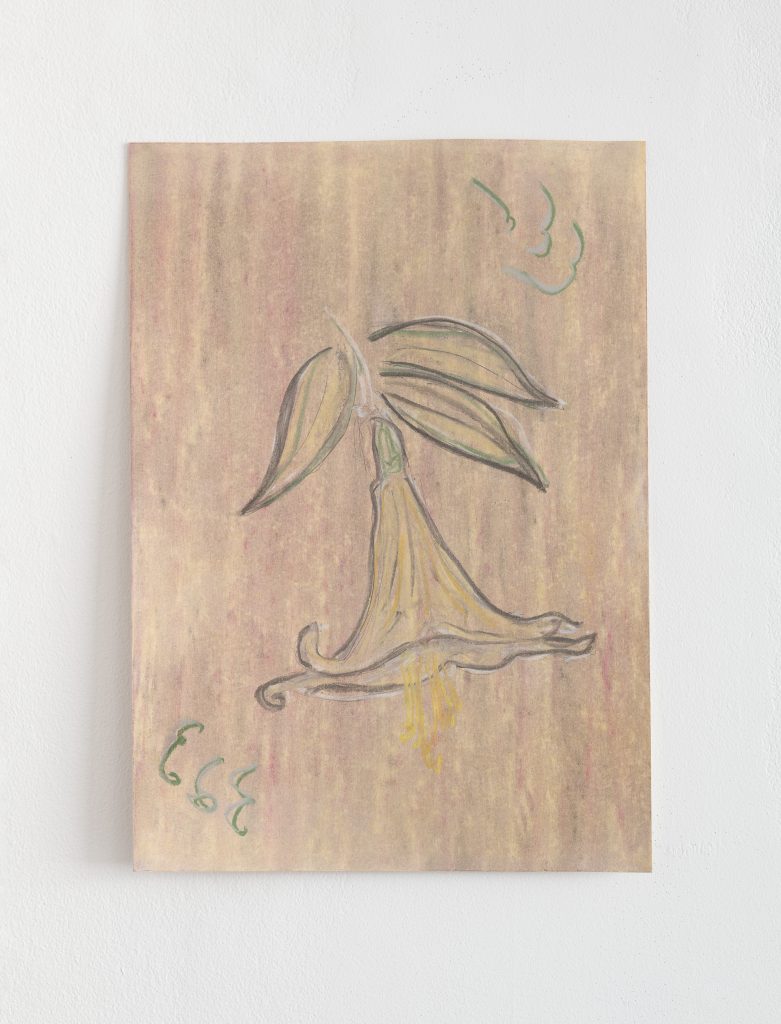 Plant Aura (Dancing Brugmansia I)