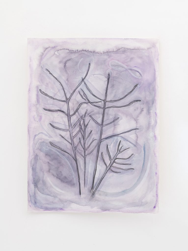 Plant Aura (Kali)